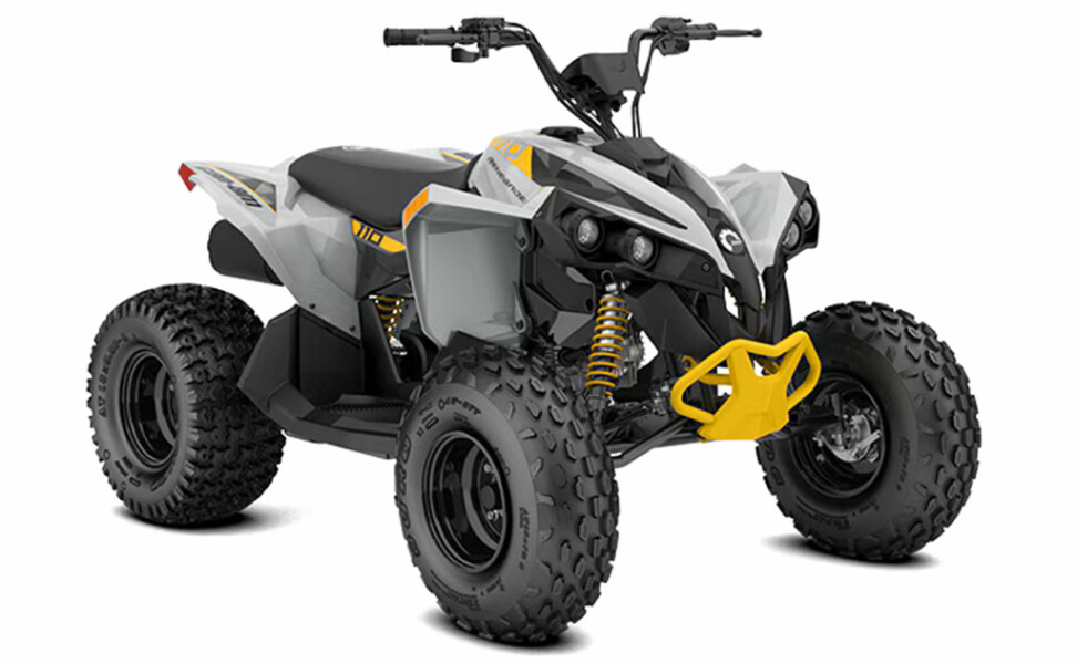 Can-Am Renegade 110 EFI