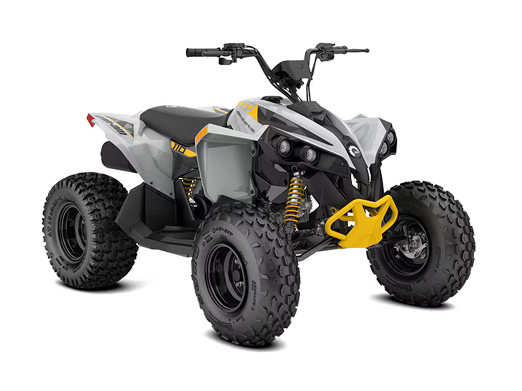 Can-Am Renegade 110 EFI